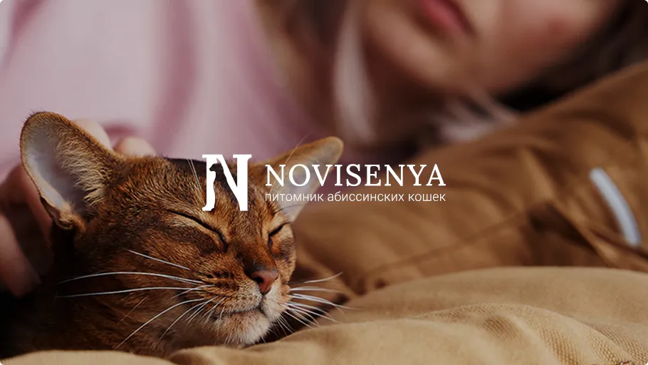 Питомник Novisenya